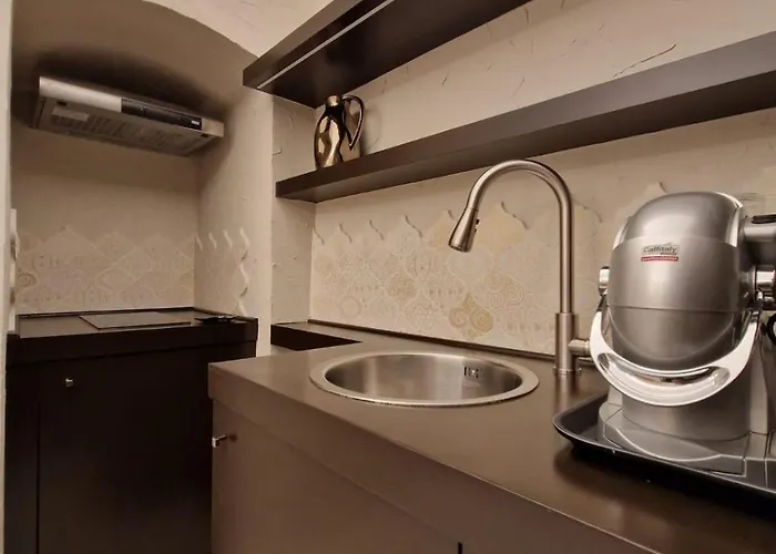 招待所 Ap Luxury 3*